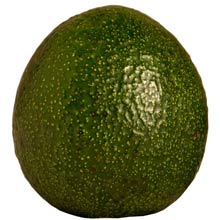 BUY REED AVOCADOS