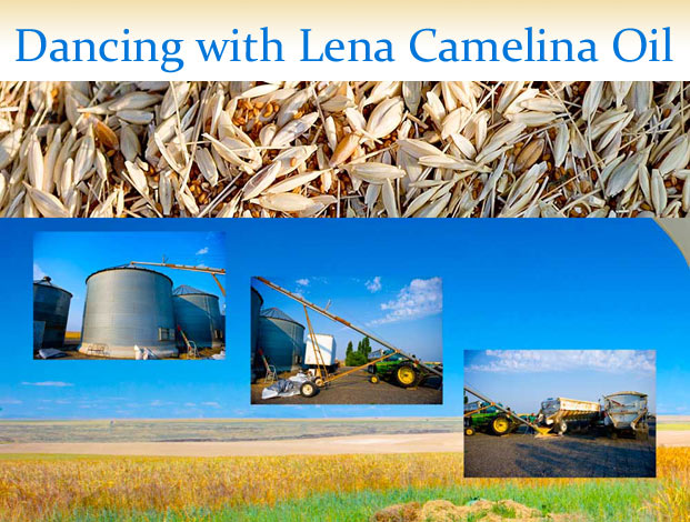 Dancing with Lena Camelina Oil