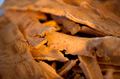 Ceylon Cinnamon Bark