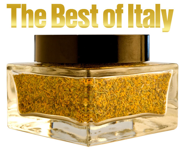 The Best of Italy