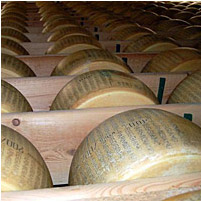 BUY SUMMER MILK PARMIGIANO-REGGIANO